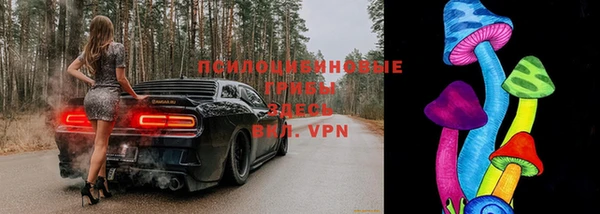 соль ск Горнозаводск